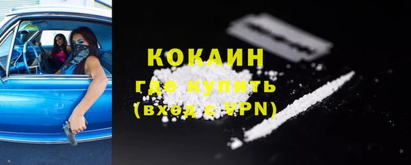 прущие грибы Беломорск