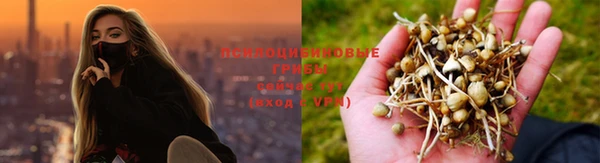 соль ск Белоозёрский