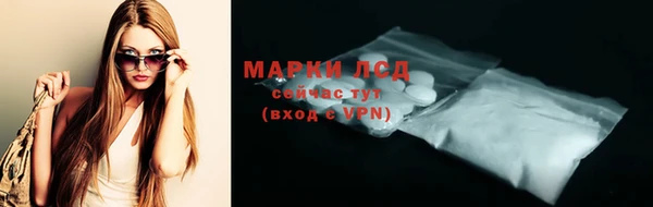 прущие грибы Беломорск