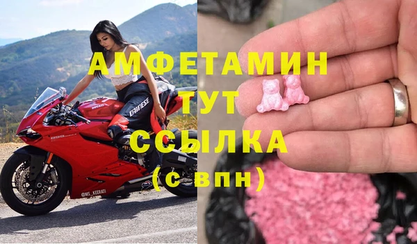 прущие грибы Беломорск