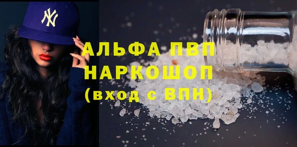 прущие грибы Беломорск